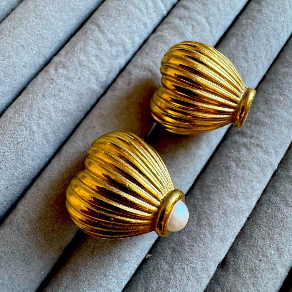 Beautiful Givenchyy earringsgs